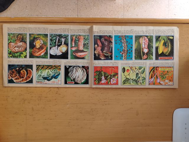 Album completo Zoología y Botanica 