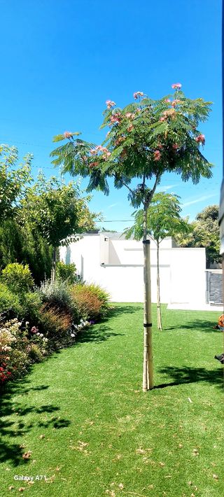 Soy Jardinero partícula