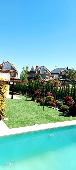 Soy Jardinero partícula