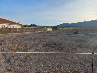 Terreno, solar, bancal en MORATALLA 
