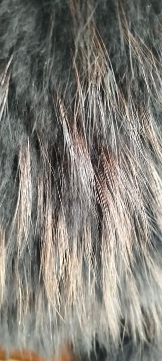 Chaquetón de cuero cien por cien piel