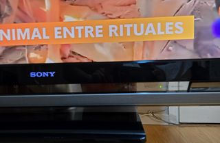 TELEVISOR SONY 40 PULGADAS