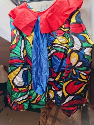 Disfraz de payaso 
