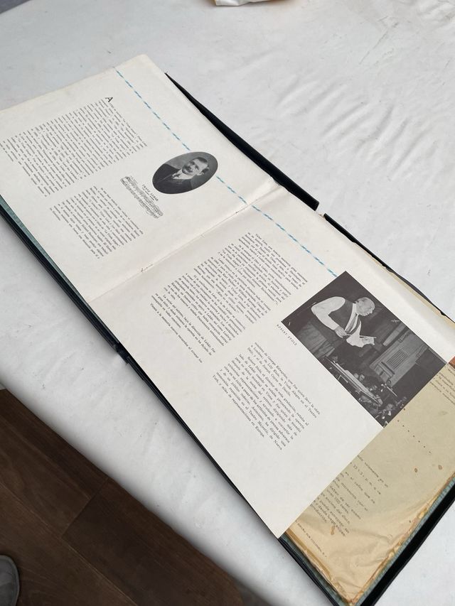 Vinilo the merry widow 