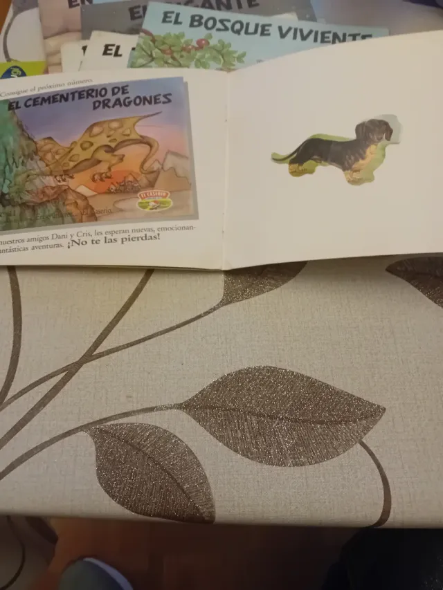 Cuentos erase  una vez.  de  quesitos el caserio.