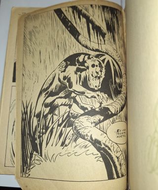 Número 5 Estela Plateada Ediciones Vértice