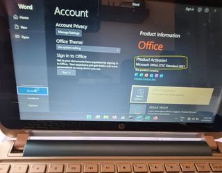 HP-mini Special Ed. 1Kg W11/Office