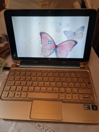 HP-mini Special Ed. 1Kg W11/Office