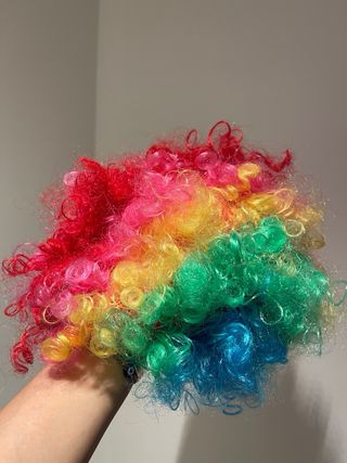 Disfraz payaso peluca