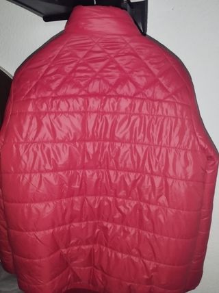 pluma 
