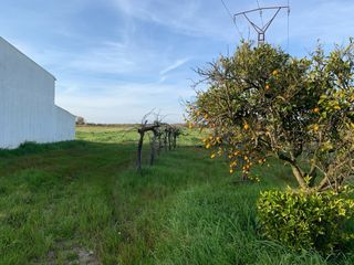 Finca con casa en el campo