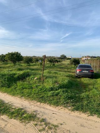 Finca con casa en el campo