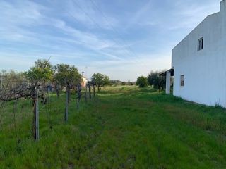 Finca con casa en el campo