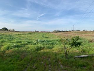 Finca con casa en el campo