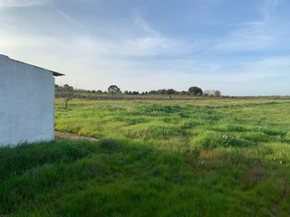 Finca con casa en el campo
