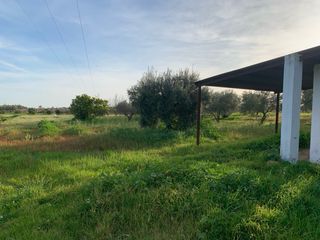 Finca con casa en el campo