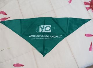 Pañuelo triangular ambientólogo