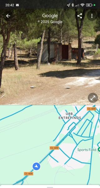 Finca rustica, pinar
