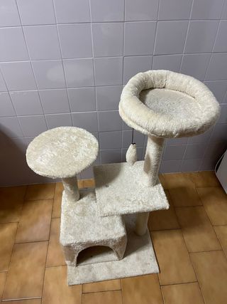Arbol rascador gato