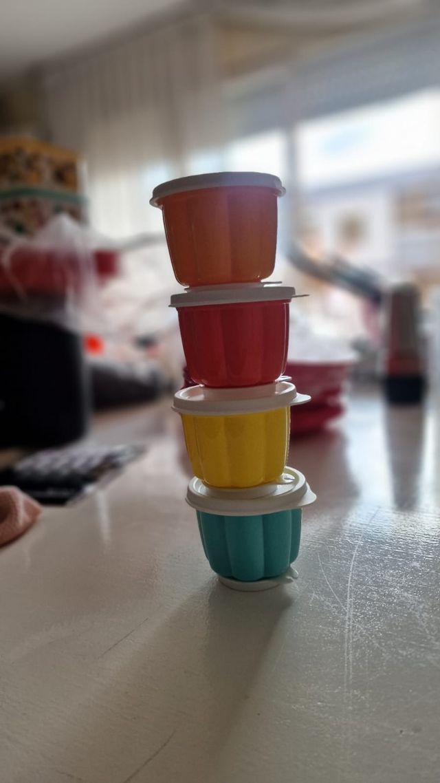 OFERTA FLANERO TUPPERWARE