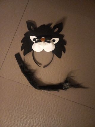 Disfraz gato