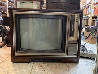 Televisor Sony trinitron grande y vintage de Segunda mano por 250