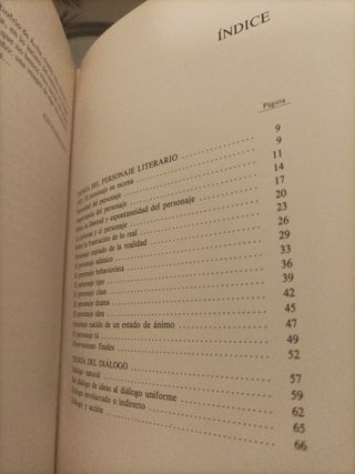 Teoría del personaje literario y otros estudios sobre la novela (Ensayo e investigación) (Spanish Edition)