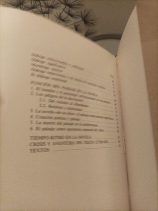 Teoría del personaje literario y otros estudios sobre la novela (Ensayo e investigación) (Spanish Edition)
