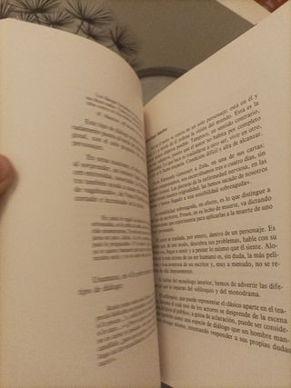 Teoría del personaje literario y otros estudios sobre la novela (Ensayo e investigación) (Spanish Edition)