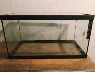 Acuario 60 litros