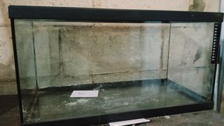 Acuario 60 litros