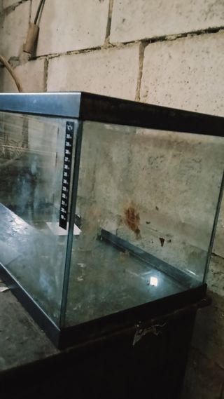 Acuario 60 litros