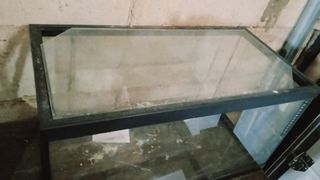 Acuario 60 litros