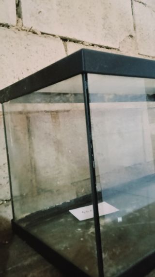 Acuario 60 litros