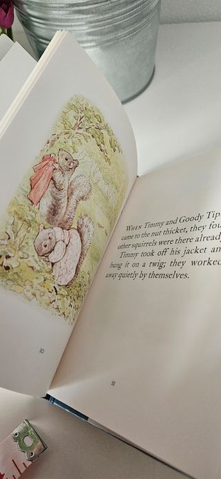 The Tale of Timmy Tiptoes (P. Rabbit) n. 12