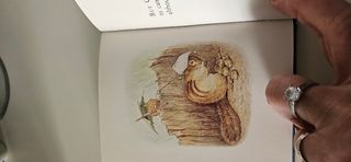 The Tale of Timmy Tiptoes (P. Rabbit) n. 12