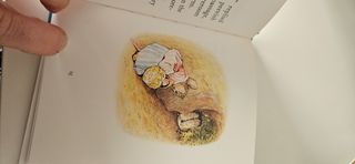 The Tale of Mrs. Tittlemouse (Potter) n. 11