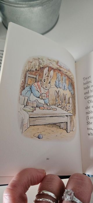 The Tale of Benjamin Bunny (P. Rabbit) n. 4