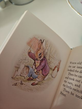 The Tale of Benjamin Bunny (P. Rabbit) n. 4