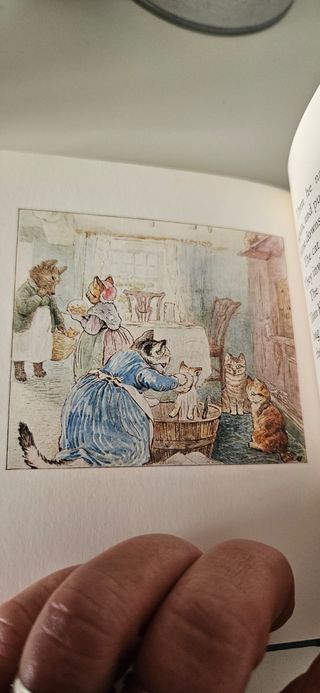 The Tale of Samuel Whiskers (Peter Rabbit) n. 16