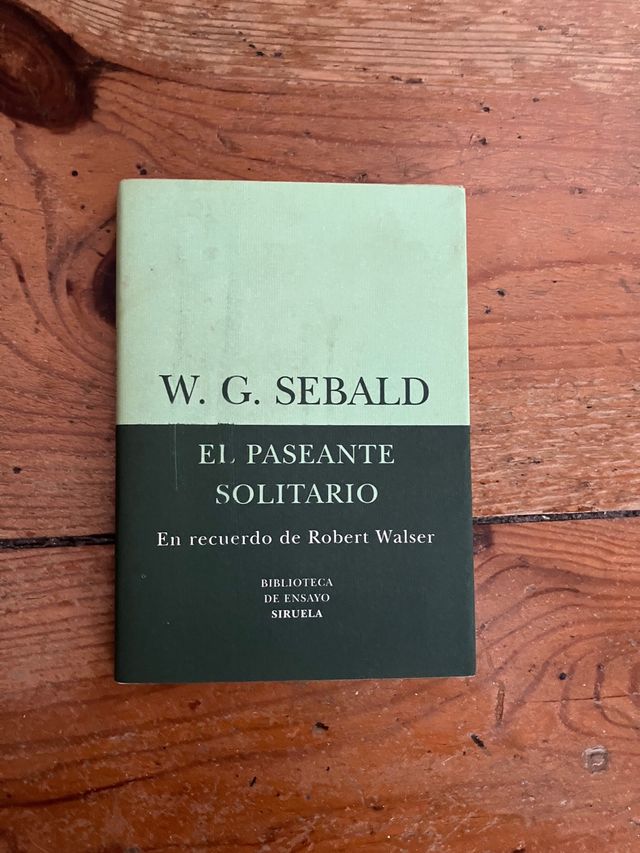 El paseante solitario de W. G. Sebald