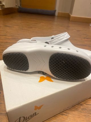 Zuecos de trabajo marca Dian modelo eva green