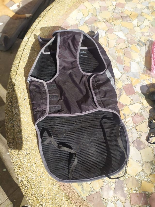 Cane impermeabile pet