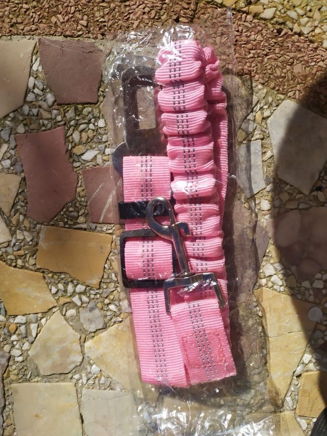 Cane impermeabile pet