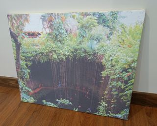 Lienzo cenote Rivera Maya México