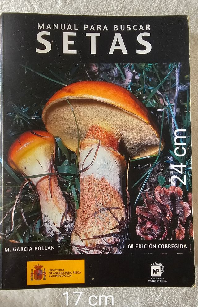 Manual para buscar SETAS