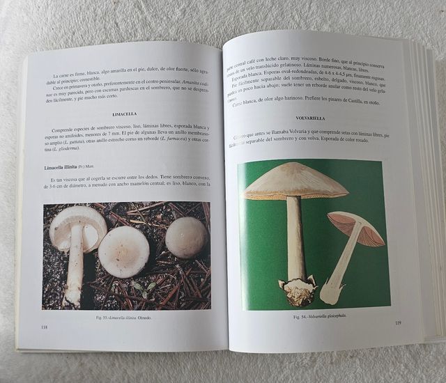 Manual para buscar SETAS