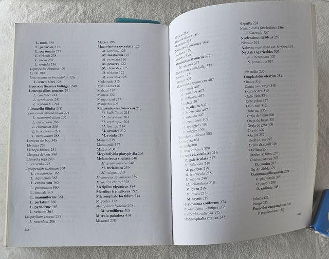 Manual para buscar SETAS