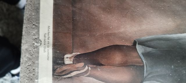 Cartografía de DALÍ