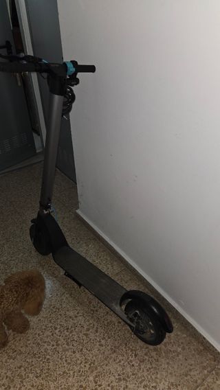 Patinetes bongo Cecotec